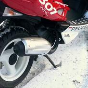 Peugeot WRC 307 Speedfight 2