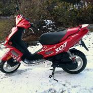 Peugeot WRC 307 Speedfight 2