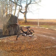 Puch Maxi K  o0 SOLGT 0o