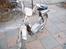 Vespa Ciao (SOLGT)