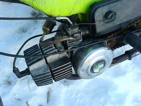 Puch Maxi K  billede 2