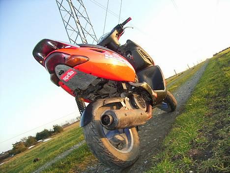 Aprilia Sonic GP (solgt) billede 17