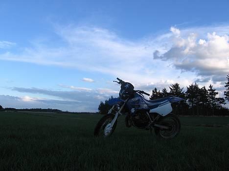 Suzuki SMX - Byttet til smT - 250cc Offroader Vs. Super Motard Xtreme billede 13