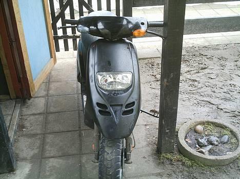 Piaggio typhoon (solgt) billede 1