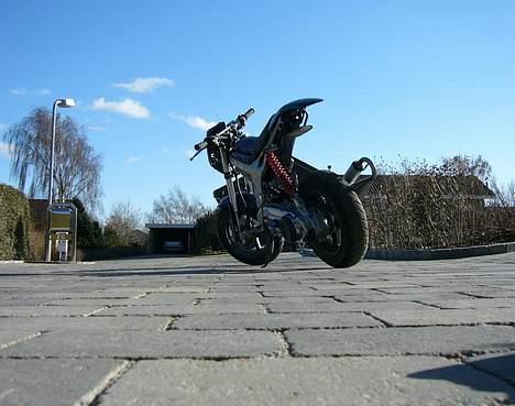 Suzuki Street Magic (byttet) billede 16