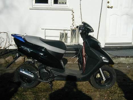 Honda SFX billede 1