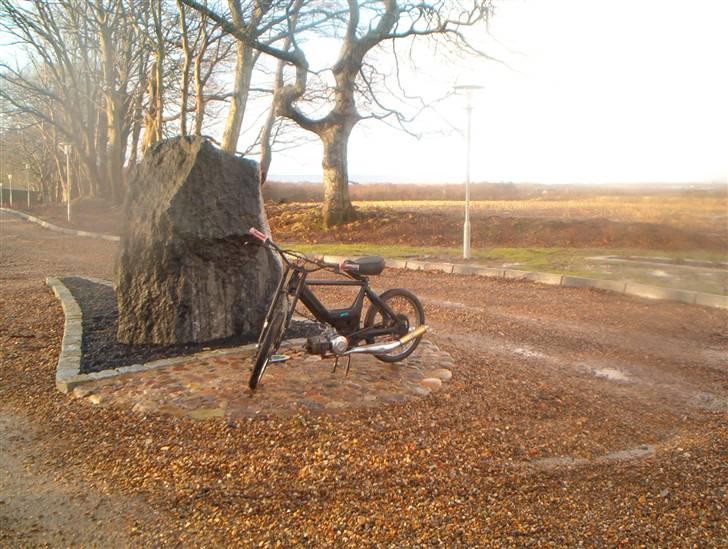 Puch Maxi K  o0 SOLGT 0o - I indkørelsen billede 1