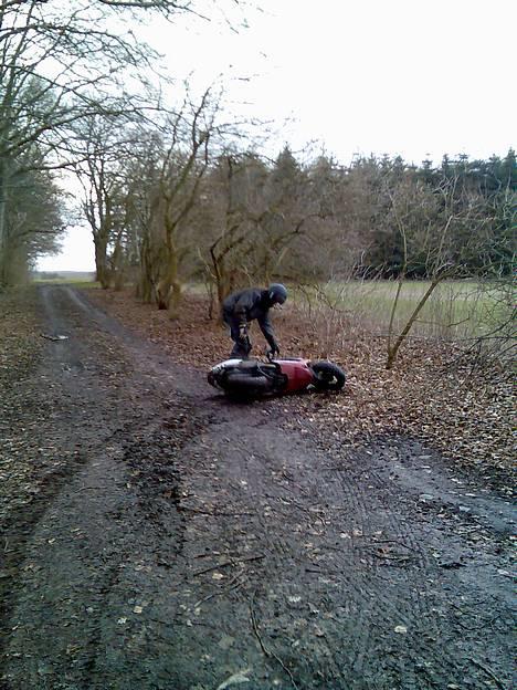 Peugeot Speed Fight 1 - søren efter en lille styrt  på en glat skov vej..... he he he  billede 12
