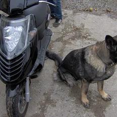 Aprilia sonic GP (Solgt)