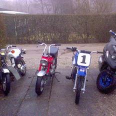 Honda Dax DESVÆRRE SOLGT