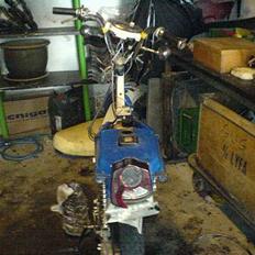 Suzuki Den er død... 