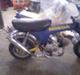 Honda Dax // Rebuild