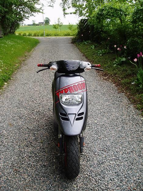 Piaggio Typhoon billede 3