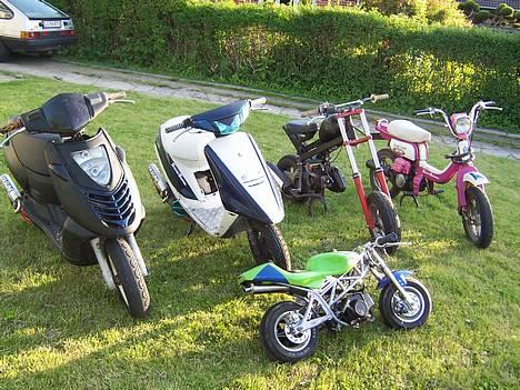 Yamaha mine gamle knallerter billede 11