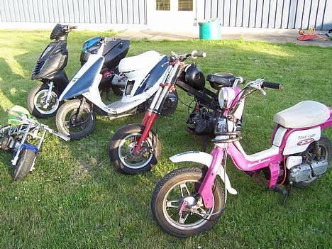 Yamaha mine gamle knallerter billede 12