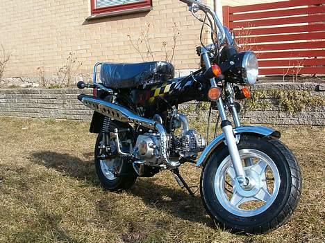 Honda Dax billede 2