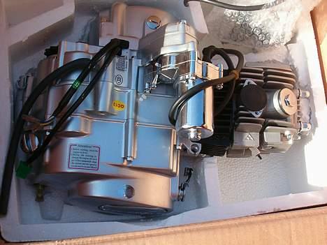 Honda Dax - en 125cc motor billede 6