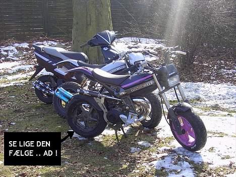 Suzuki Street Magic <'3 - Min ssm , Nees´yngling´s ssm og skønne big´bror´s seje sfx .. (: billede 5