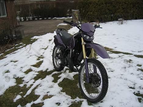 Suzuki rmx  Solg billede 10