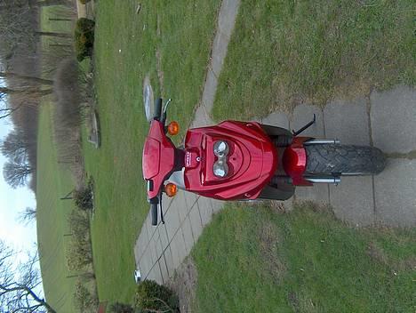 PGO HOT 50 billede 10