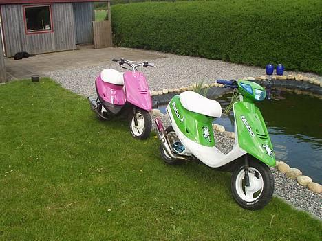 Yamaha Jog - Pinky - Solgt - Ja den grønne i fronten her.. billede 12