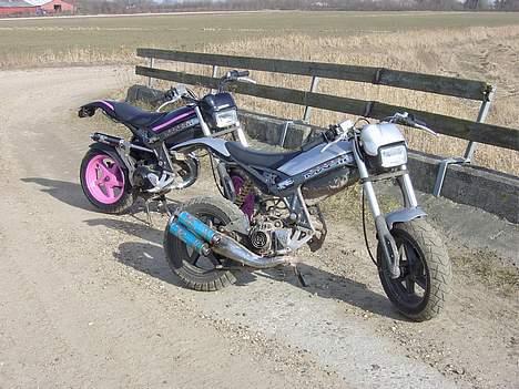 Suzuki Street Magic  solgt - min og kimmie pigens street`s   :D billede 10