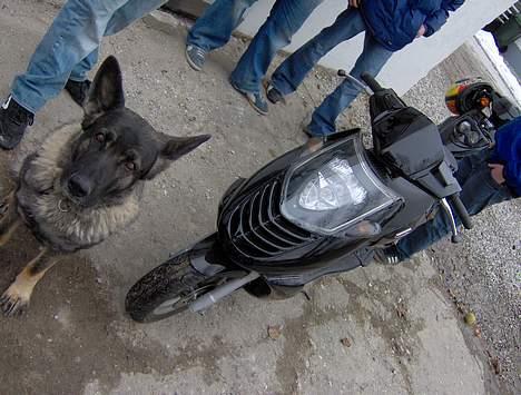 Aprilia sonic GP (Solgt) billede 4