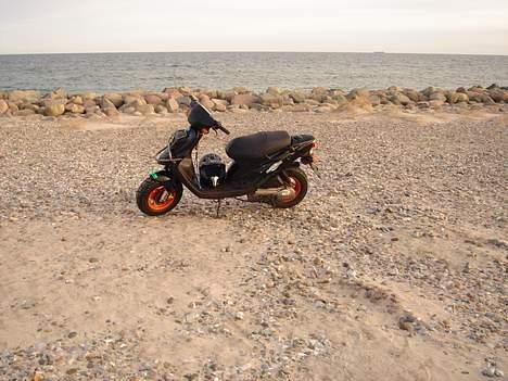 PGO HOT (STJÅLET) billede 10