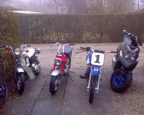 Honda Dax DESVÆRRE SOLGT billede 2