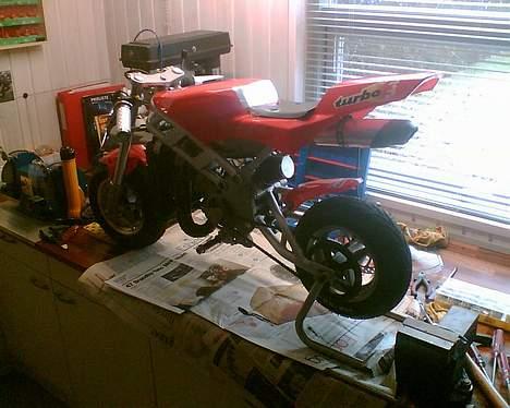 Hyosung Pocketbike - Skjold taget a. billede 9