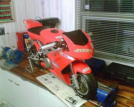 Hyosung Pocketbike - Tonet glas og afkortet skjold færdig... endelig. billede 13