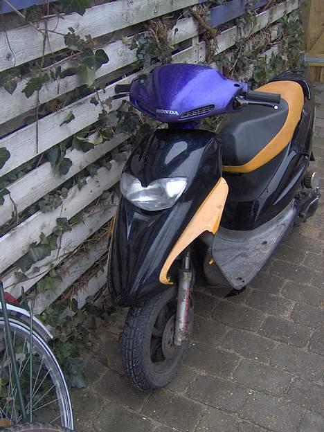 Honda sfx <solgt> billede 4