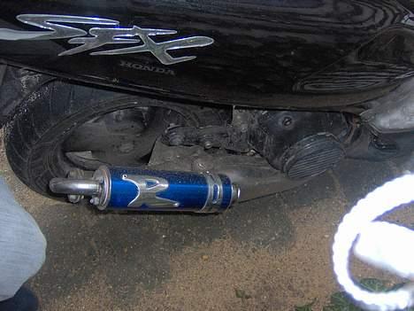 Honda sfx <solgt> billede 6