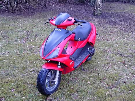 Benelli 491 st lc//  SOLGT billede 2