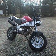 Honda pbr s50