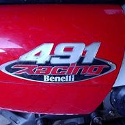 Benelli 491