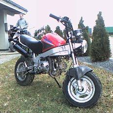 Honda pbr s50