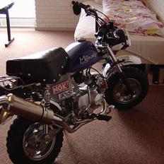 Honda Skyteam Monkey