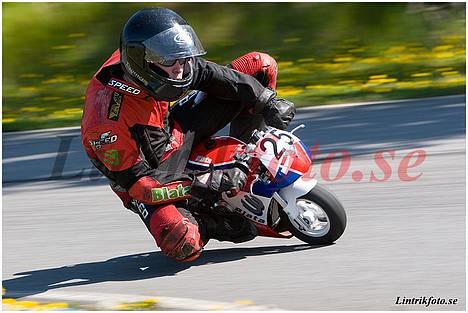 Blata 14 Wrs Solgt - 2afd af dm i sverige på lockarp, super solskin alle 3 dage billede 8