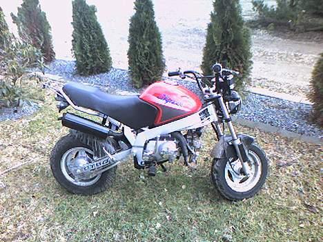 Honda pbr s50 billede 2