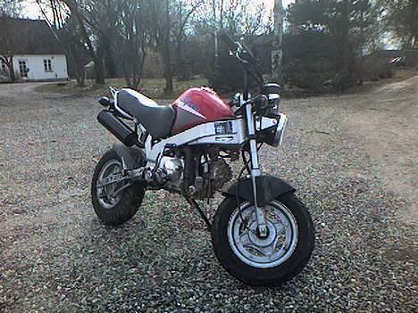 Honda pbr s50 billede 4