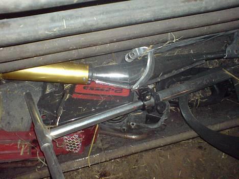 Puch macho (byttet) billede 5