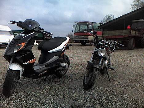 Honda pbr s50 billede 12