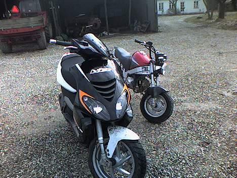 Honda pbr s50 billede 13