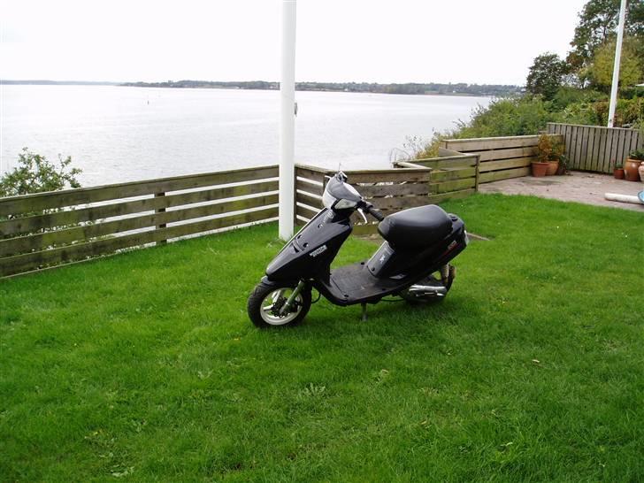 Yamaha JoG ///Polini billede 9