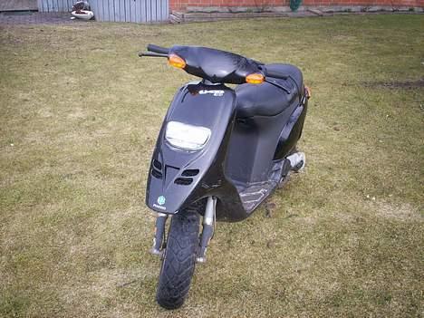 Piaggio Typhoon (solgt) billede 2