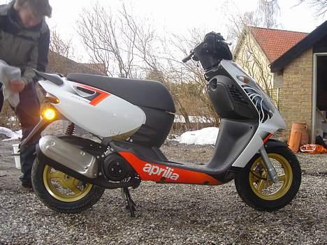 Aprilia Sonic GP (Solgt) - Knallerten kom hjem fra forhandler! billede 1