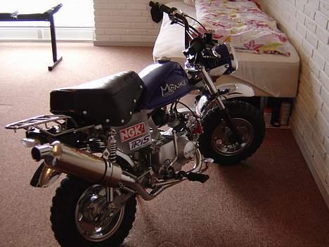 Honda Skyteam Monkey billede 2