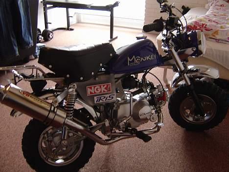 Honda Skyteam Monkey billede 3