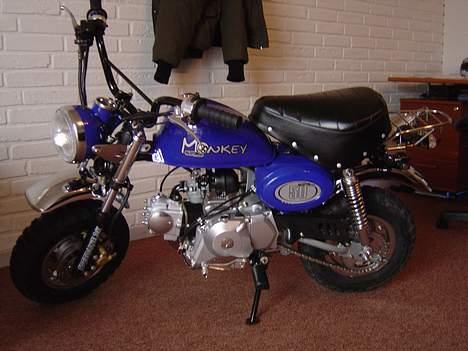 Honda Skyteam Monkey billede 6